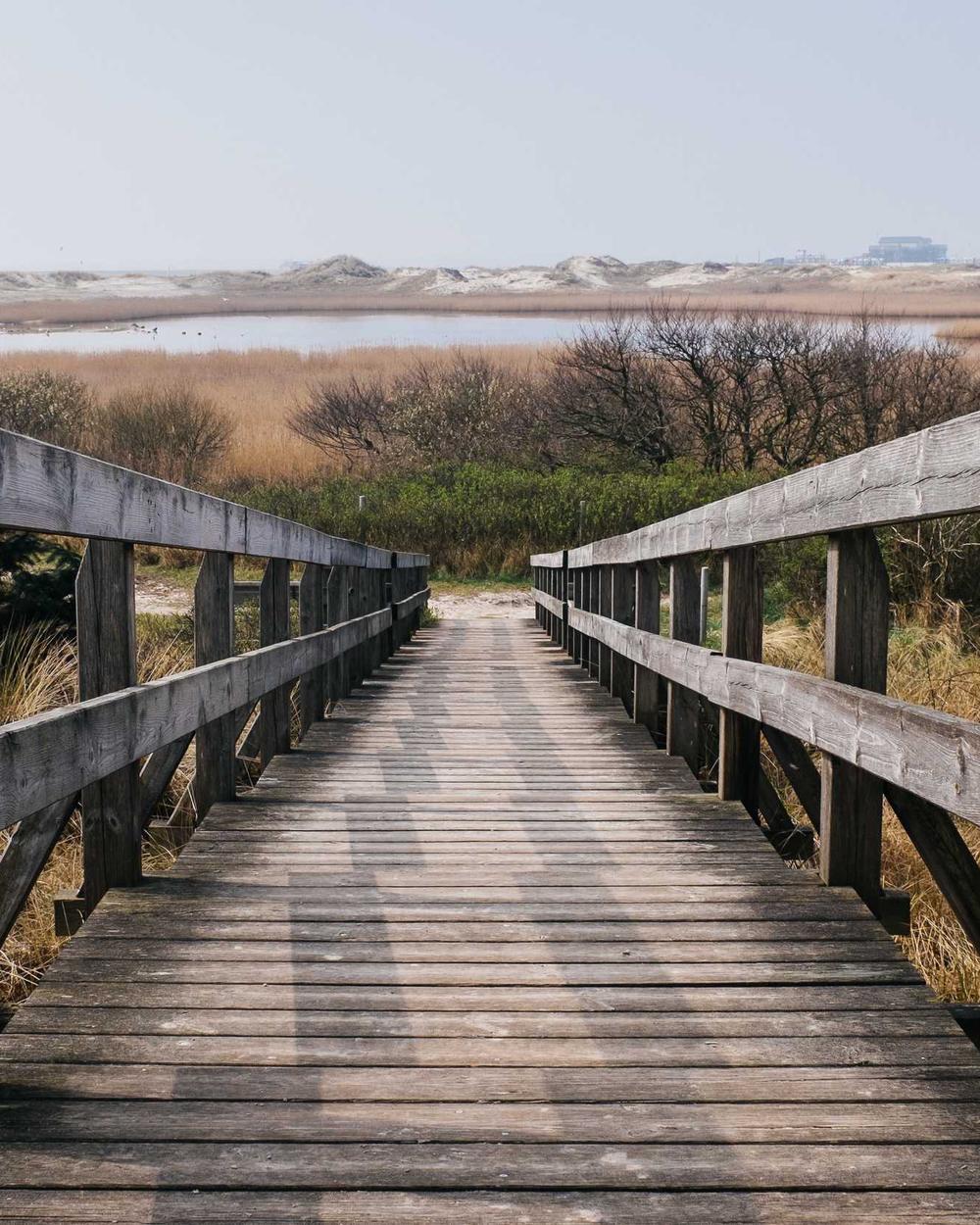 A wooden boardwalk leading through marsh grass to a calm lagoon